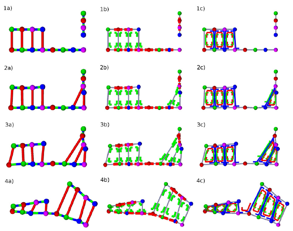 Dynamic Bond model of DNA